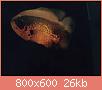         

:  ImageUploadedByTapatalk1438793122.381483.jpg
:  362
:  25,7 KB