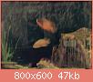         

:  ImageUploadedByTapatalk1438793161.864870.jpg
:  359
:  46,9 KB