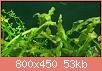         

:  11917301_751994584902712_1474327612_n.jpg
:  215
:  53,4 KB