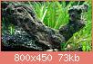         

:  11938123_751994604902710_368477799_n.jpg
:  228
:  72,9 KB