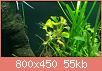         

:  11948156_751994521569385_783511601_n.jpg
:  223
:  55,3 KB