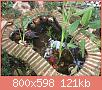         

:  ImageUploadedByTapatalkHD1443339422.303800.jpg
:  348
:  121,2 KB