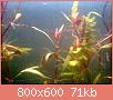         

:  0311.jpg
:  303
:  71,1 KB