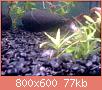         

:  0312.jpg
:  309
:  77,4 KB