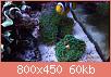        

:  uploadfromtaptalk1445813167853.jpg
:  1063
:  60,3 KB
