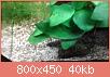         

:  20151107_201827.jpg
:  362
:  40,2 KB