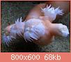         

:  coral5.jpg
:  568
:  67,9 KB