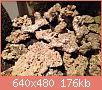         

:  b1.JPG
:  942
:  176,2 KB