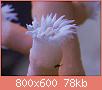         

:  coral7.jpg
:  498
:  78,1 KB