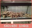         

:  ba1.JPG
:  1195
:  104,0 KB