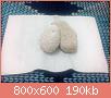         

:  20151114_191919.jpg
:  225
:  189,9 KB