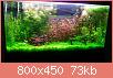         

:  12255600_1118729284838952_585427590_o.jpg
:  230
:  72,7 KB