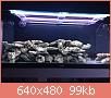         

:  po1.JPG
:  484
:  98,6 KB