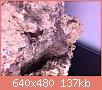         

:  bra.JPG
:  512
:  137,1 KB