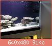        

:  po3.JPG
:  781
:  90,7 KB