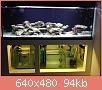         

:  lo.JPG
:  849
:  94,0 KB