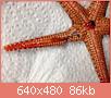         

:  258.JPG
:  506
:  85,6 KB