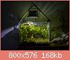         

:  plant01.jpg
:  558
:  167,7 KB