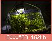         

:  plant03.jpg
:  503
:  161,7 KB