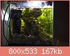         

:  plant05.jpg
:  475
:  166,7 KB