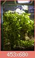         

:  plant07.jpg
:  443
:  50,5 KB