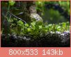         

:  plant08.jpg
:  407
:  142,6 KB