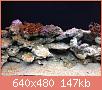         

:  003.JPG
:  565
:  147,3 KB