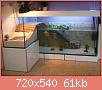         

:  30. Not a fish tank, but I want this turtle tank too118129.jpg
:  6484
:  60,9 KB