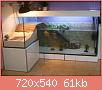         

:  30. Not a fish tank, but I want this turtle tank too118129.jpg
:  6895
:  60,9 KB