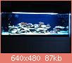        

:  010.JPG
:  542
:  86,8 KB