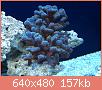         

:  012.JPG
:  537
:  156,6 KB
