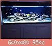         

:  IMG_1207.JPG
:  608
:  95,5 KB
