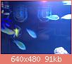         

:  0015.JPG
:  623
:  91,2 KB
