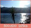         

:  IMG_20160124_150525.jpg
:  378
:  165,3 KB