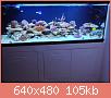         

:  1001.JPG
:  529
:  105,4 KB