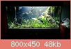         

:  12583665_817989024969934_1979569129_n.jpg
:  197
:  47,6 KB