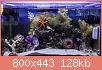         

:  IMG_9198.jpg
:  538
:  128,1 KB