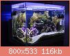         

:  IMG_9199.jpg
:  558
:  115,6 KB