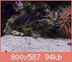         

:  IMG_9205.jpg
:  526
:  94,2 KB