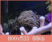         

:  IMG_9206.jpg
:  519
:  88,4 KB
