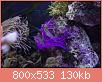         

:  IMG_9207.jpg
:  479
:  130,4 KB