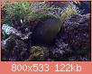         

:  IMG_9209.jpg
:  501
:  122,4 KB