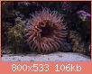         

:  IMG_9210.jpg
:  518
:  105,7 KB