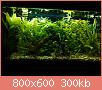         

:  IMG_20150928_170708low.jpg
:  286
:  299,7 KB