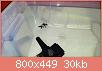         

:  uploadfromtaptalk1454169982115.jpg
:  1911
:  29,7 KB