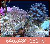         

:  1019.JPG
:  538
:  181,3 KB