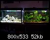        

:  100_1482.jpg
:  414
:  52,5 KB