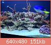         

:  IMG_1837.JPG
:  653
:  151,1 KB