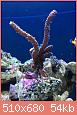         

:  IMG_1828.jpg
:  649
:  54,2 KB