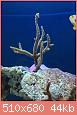         

:  IMG_1827.jpg
:  630
:  44,4 KB